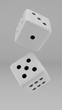 Black and White Dice on a white background, 3d render