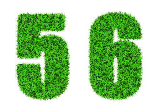 Green grass font. The number 5 and 6. Lawn texture number on white background.