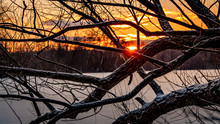 Silhouettes Of Bare Trees, Frozen River At Winter Sunset With Orange Sky