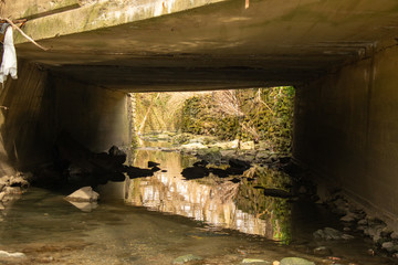 Wall Mural - A Shallow Creek Flowing Unnder a Concrete Bridge Surrounded by Foliage and Rocks