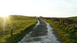canvas print picture - Road to Moher
