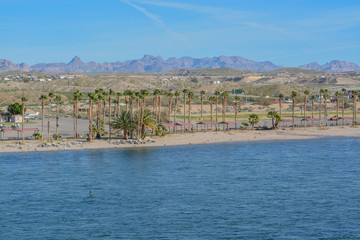 Wall Mural - Davis Camp on the Colorado River In Bullhead, Mohave County, Arizona USA
