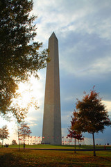 Wall Mural - Washington Monument (DC 0177)