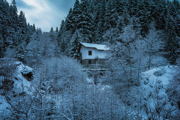 Beautiful winter morning landscape with snow covered trees. Dramatic cloudy sky. 