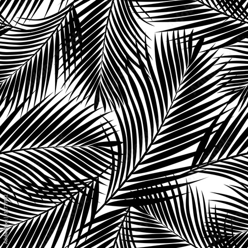 black-and-white-tropical-palm-leaves-texture