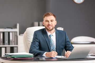 Wall Mural - Male accountant working in office