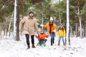 Sticker - Happy family sledging in park on winter day