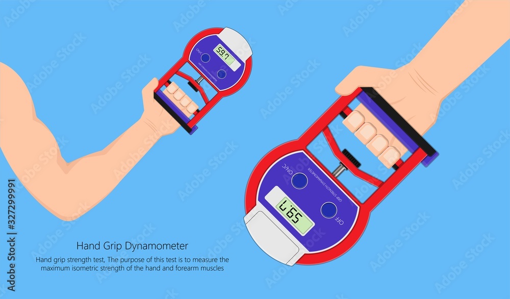 Handgrip Muscle Strength Scale Dynamometer Testing measure therapist ...
