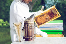 The Beekeeper Holds A Honey Cell With Bees In His Hands. Beekeeper Inspecting Honeycomb Frame At Apiary. 