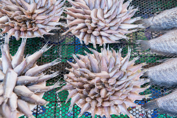 Poster - THAILAND KAMPHAENG PHET MARKET FOOD FISH