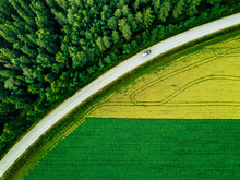 Aerial View Of Car Driving On Road Along The Green Forest And Potato With Yellow Rapeseed Fields