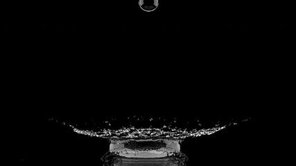 Wall Mural - slow motion water liquid droplet collision concept idea. with alpha. 3d animation 4k.