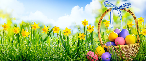 Wall Mural - Basket of easter eggs on green grass at sunny day