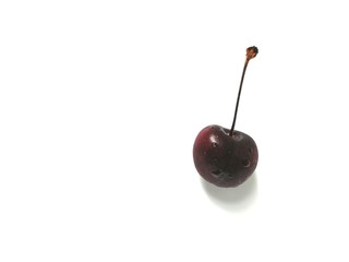 cherries on white background