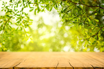 Wall Mural - Wooden table and blurred spring background. Spring concept with green nature outdoor.