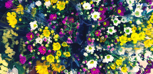 Wall Mural - Bouquet of colorful flower in plastic bag for sale at floral shop in blue vintage tone filter. Fresh plant or Natural wallpaper concept. Beauty in nature 