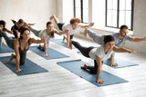 Group of multi-ethnic people performing Bird Dog Asana