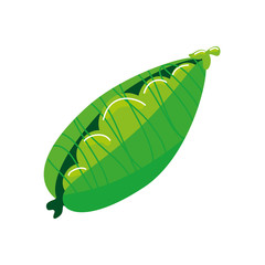 Wall Mural - pod pea plant isolated icon vector illustration design