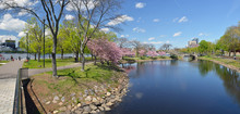 Boston Esplanade In Early Spring, Panoramic View