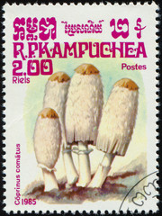 Wall Mural - CAMBODIA - CIRCA 1985: stamp 2 Cambodian riel printed by Kingdom of Cambodia, shows mushrooms Coprinus comatus, fungi flora, circa 1985