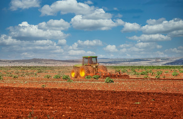 african agriculture