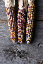 High Angle Shot Of A Three Flint Corn Cobs