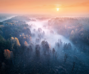 aerial view of foggy forest and meadows at colorful sunrise in autumn. beautiful landscape with tree