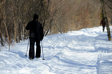 Wall Mural - ski de fond