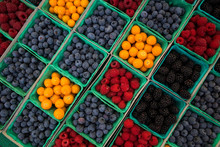 Assorted Berries - Gooseberry, Blueberry, Raspberry, Blackberry - at Market