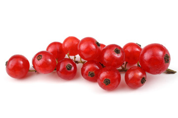 Red currant