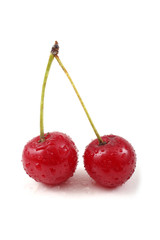 Two red cherries