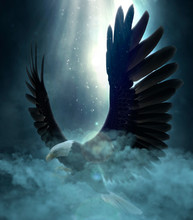 Bald Eagle Flying Over The Clouds 3d Illustration