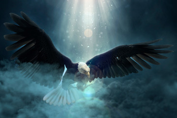 Bald eagle flying over the clouds 3d illustration