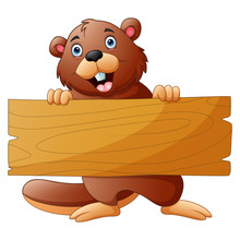 Beaver Cartoon Holding A Wooden Sign On White Background