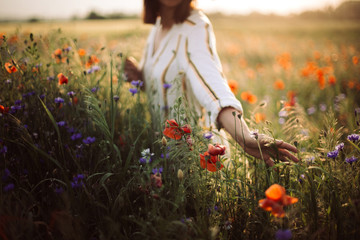 Wall Mural - Woman in rustic dress gathering poppy and wildflowers in sunset light, walking in summer meadow. Atmospheric authentic moment. Copy space. Hand picking up flowers in countryside. Rural slow life