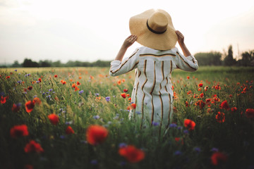Wall Mural - Stylish woman in rustic linen dress walking in summer meadow among poppy and wildflowers in sunset light. Atmospheric authentic moment.Copy space. Girl in hat in countryside. Rural slow life.