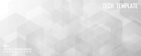 Poster - abstract wide white and gray hexagonal technology design of decoration background. illustration vect