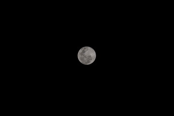 Wall Mural - full moon in the sky