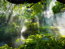 Tropical Jungle With River And Sun  Beam  And Foggy In The Garden