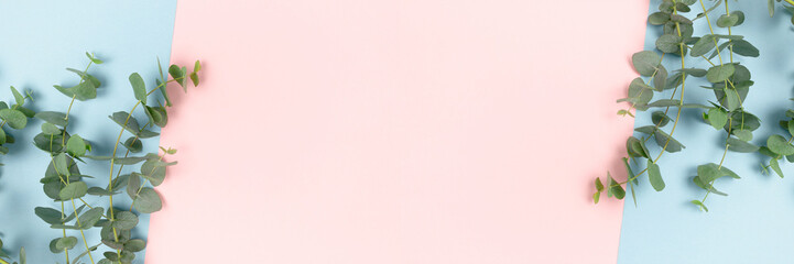 Wall Mural - frame made of eucalyptus branches on a pink and blue pastel background. banner template with place f
