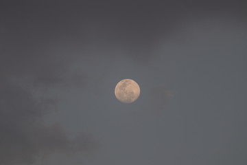 Wall Mural - full moon in the night sky