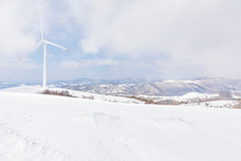Daegwallyeong Sky Sheep Ranch In Gangwon Province In Winter Snowfall