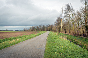 Wall Mural - Curved country road in an agricultural landscape. There is a plowed field on one side of the road. On the other side are a ditch and many bare trees. It is a cloudy winter day in the Netherlands.