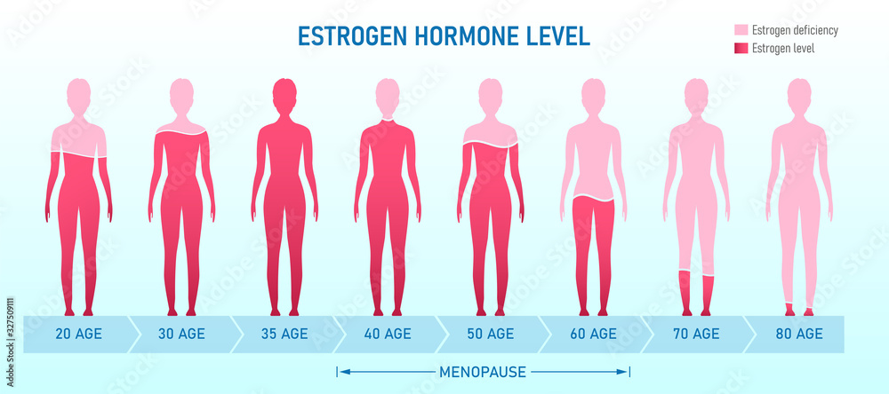 Creative vector illustration of estrogen hormone level, menopause chart infographic background. Female sex hormone template. Abstract concept estrogen level, representative testosterone charts - obrazy, fototapety, plakaty 