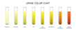 Creative vector illustration of Urine test chat, assessing hydration, dehydration, test tubes isolated on background. Art design pee urine color diagram template. Concept medical biomaterial element