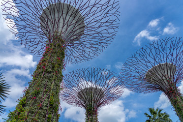 Sticker - The super trees at the gardens by the bay