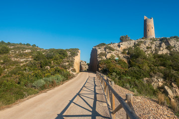 Wall Mural - The green way of Benicassim and oropesa del mar, Costa azahar