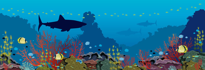 Wall Mural - Underwater sea - Corals, sharks, fishes