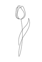 Tulip Flower In Continuous Line Art Drawing Style. Minimalist Black Linear Sketch Isolated On White Background. Vector Illustration