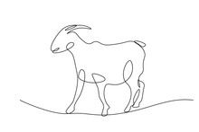 Goat In Continuous Line Art Drawing Style. Minimalist Black Linear Sketch Isolated On White Background. Vector Illustration